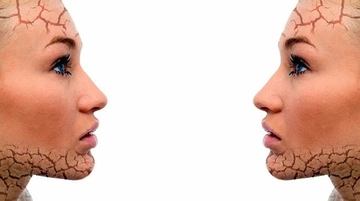 Hücre Yenilenmesi Nedir ve Nasıl Gerçekleşir? Hücre Yenilenmesi Nedir ve Nasıl Gerçekleşir?